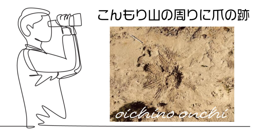 猫の糞害