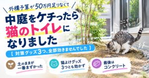 外構予算をケチって土のままにした中庭が猫のトイレになった様子
